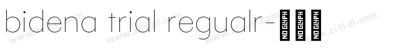 bidena trial regualr字体转换